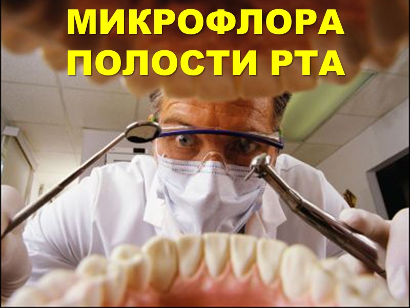 МИКРОФЛОРА ПОЛОСТИ РТА